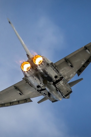 Typhoon Aircraft wallpaper 320x480