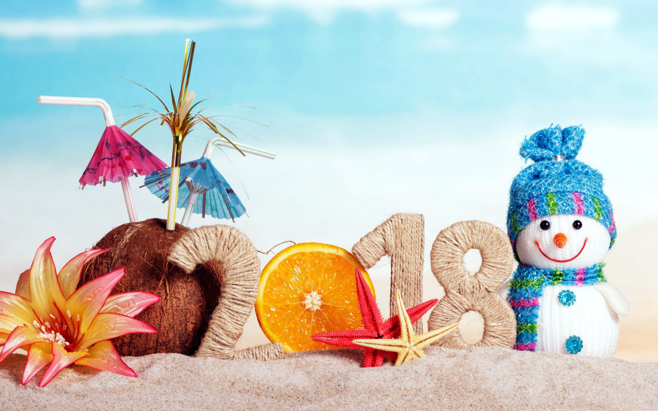 Happy New Year 2018 Beach Style wallpaper 2560x1600