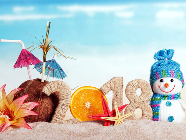 Happy New Year 2018 Beach Style wallpaper 640x480