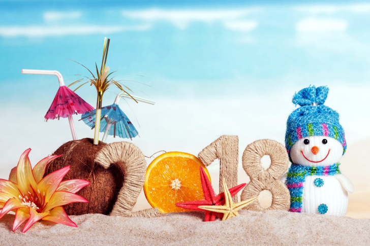 Fondo de pantalla Happy New Year 2018 Beach Style