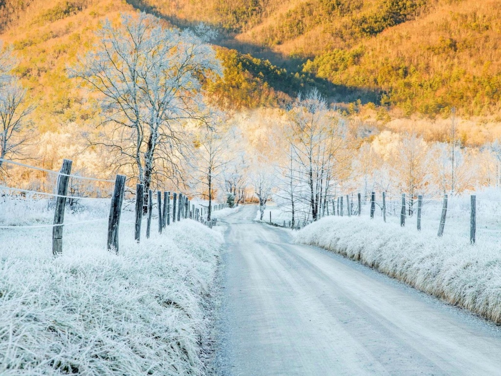 Winter road in frost wallpaper 1024x768