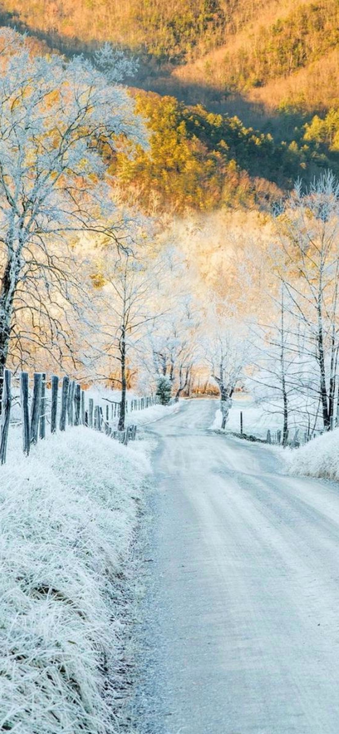 Winter road in frost wallpaper 1170x2532