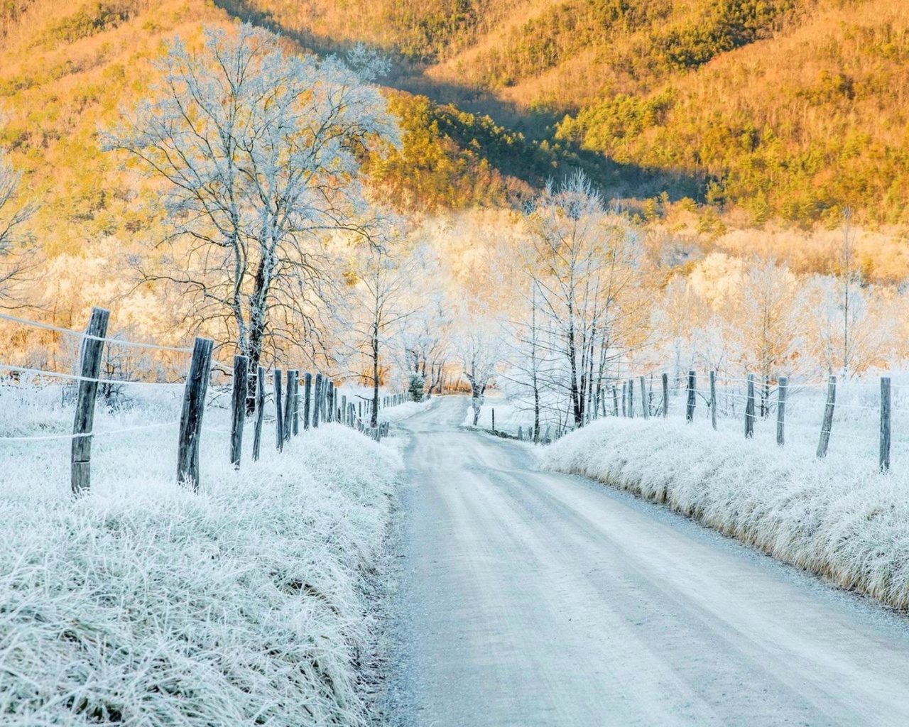 Screenshot №1 pro téma Winter road in frost 1280x1024
