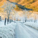 Winter road in frost screenshot #1 128x128