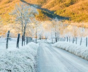 Das Winter road in frost Wallpaper 176x144