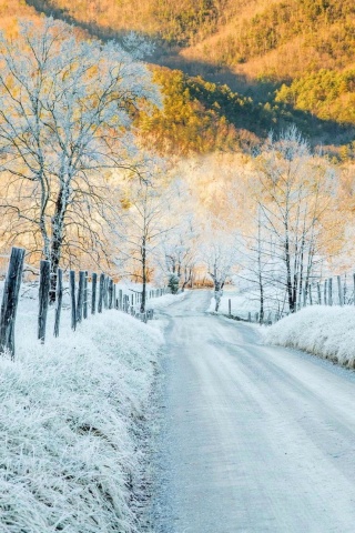 Screenshot №1 pro téma Winter road in frost 320x480