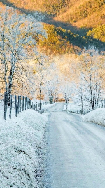 Sfondi Winter road in frost 360x640