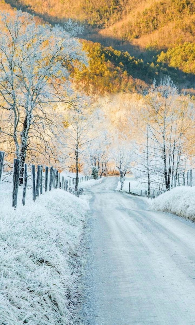 Winter road in frost screenshot #1 768x1280