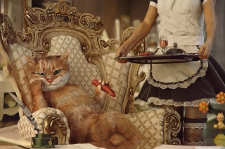 Cat The Boss - Obrázkek zdarma pro Samsung Galaxy Q