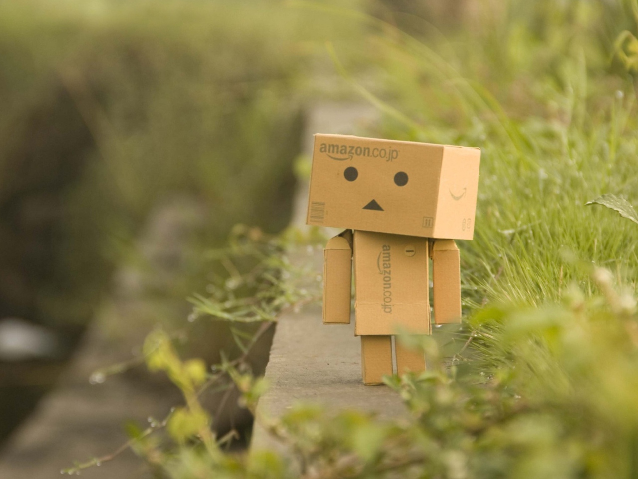 Screenshot №1 pro téma Danbo Goes For A Walk 1280x960