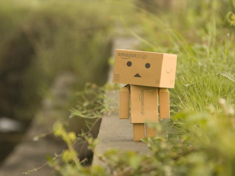 Screenshot №1 pro téma Danbo Goes For A Walk 800x600