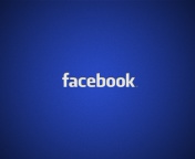 Screenshot №1 pro téma Facebook Logo 176x144