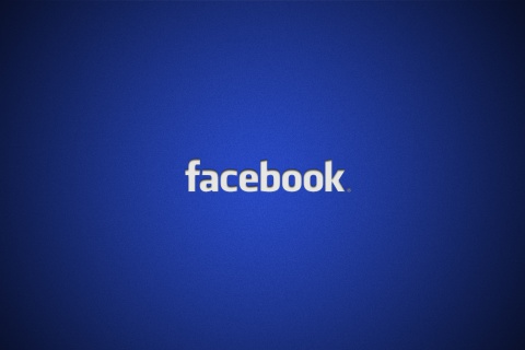 Facebook Logo screenshot #1 480x320