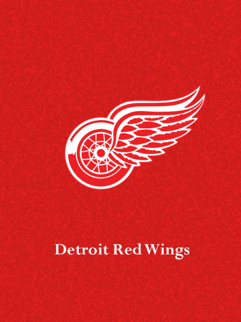 Screenshot №1 pro téma Detroit Red Wings 480x640