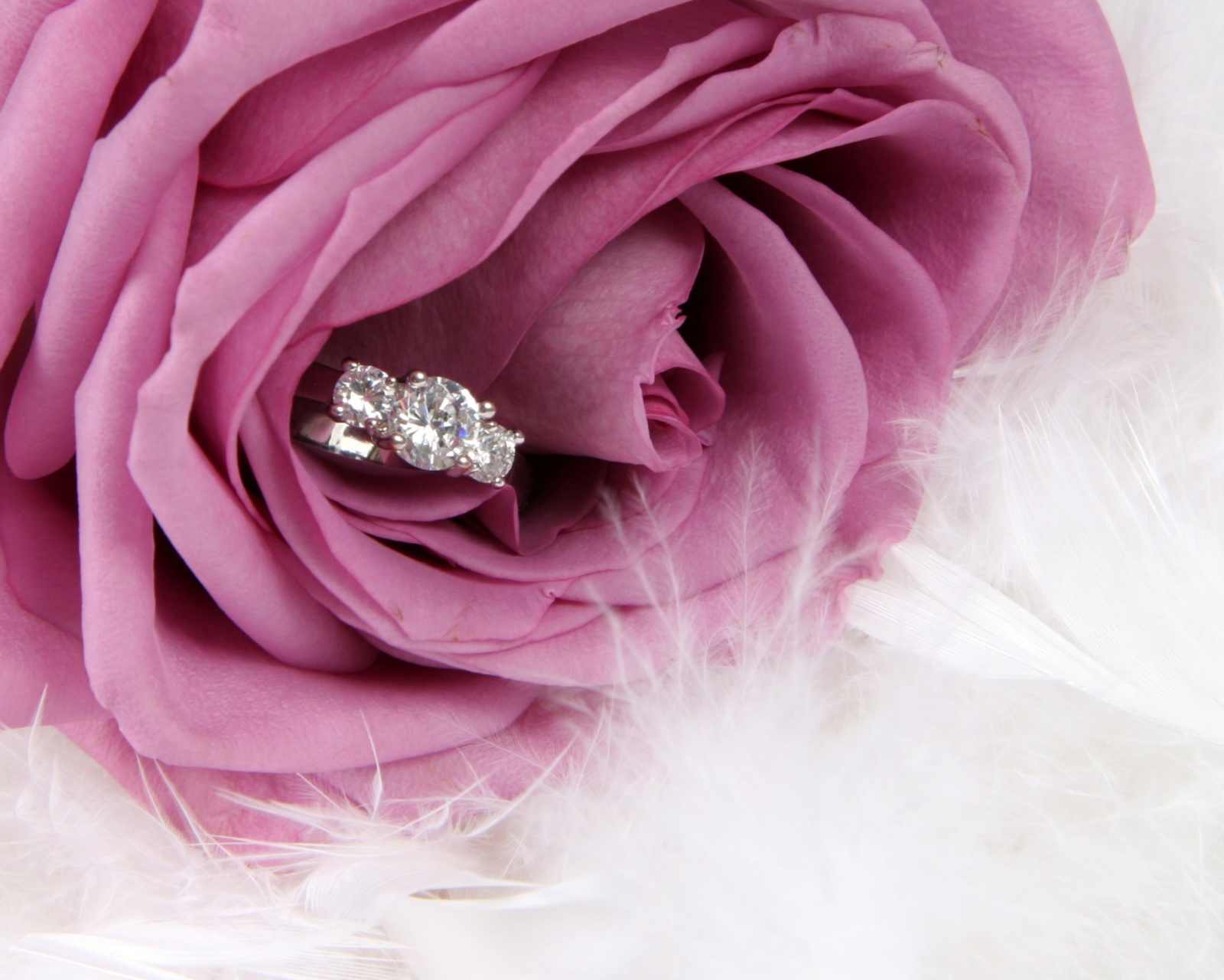 Fondo de pantalla Engagement Ring In Pink Rose 1600x1280