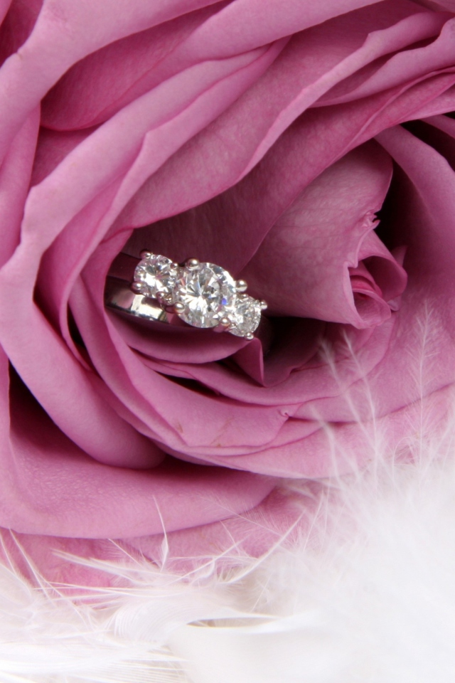Das Engagement Ring In Pink Rose Wallpaper 640x960