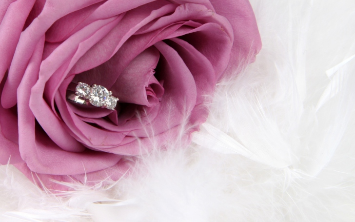 Engagement Ring In Pink Rose wallpaper