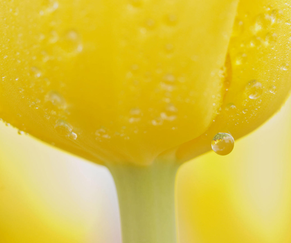 Screenshot №1 pro téma Macro Yellow Water Drops 960x800