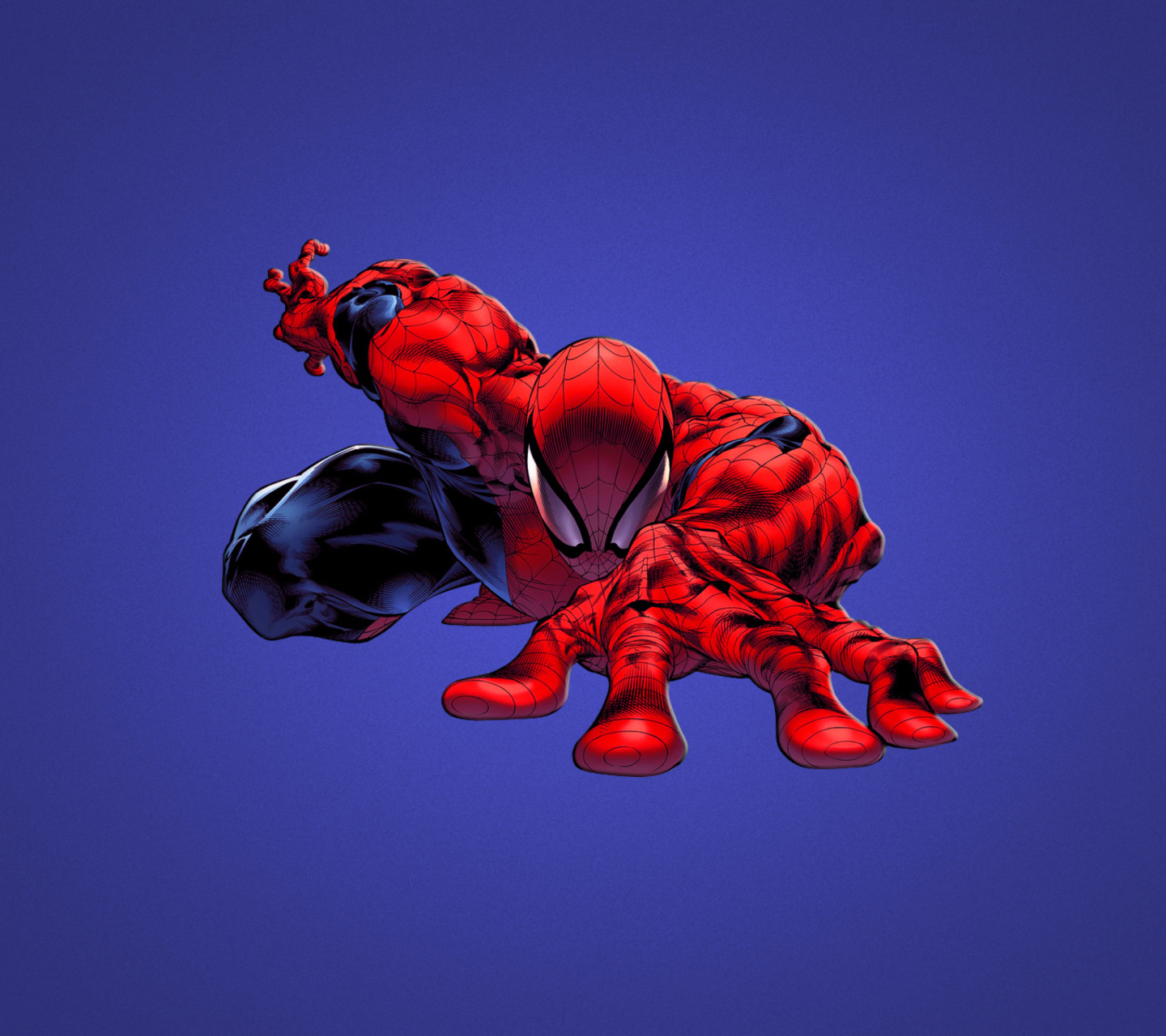 Das Spiderman Wallpaper 1440x1280