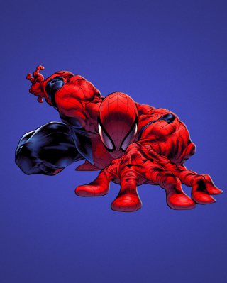 Spiderman - Obrázkek zdarma pro Nokia C-5 5MP