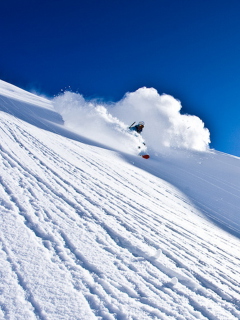 Das Alpine Skiing Wallpaper 240x320
