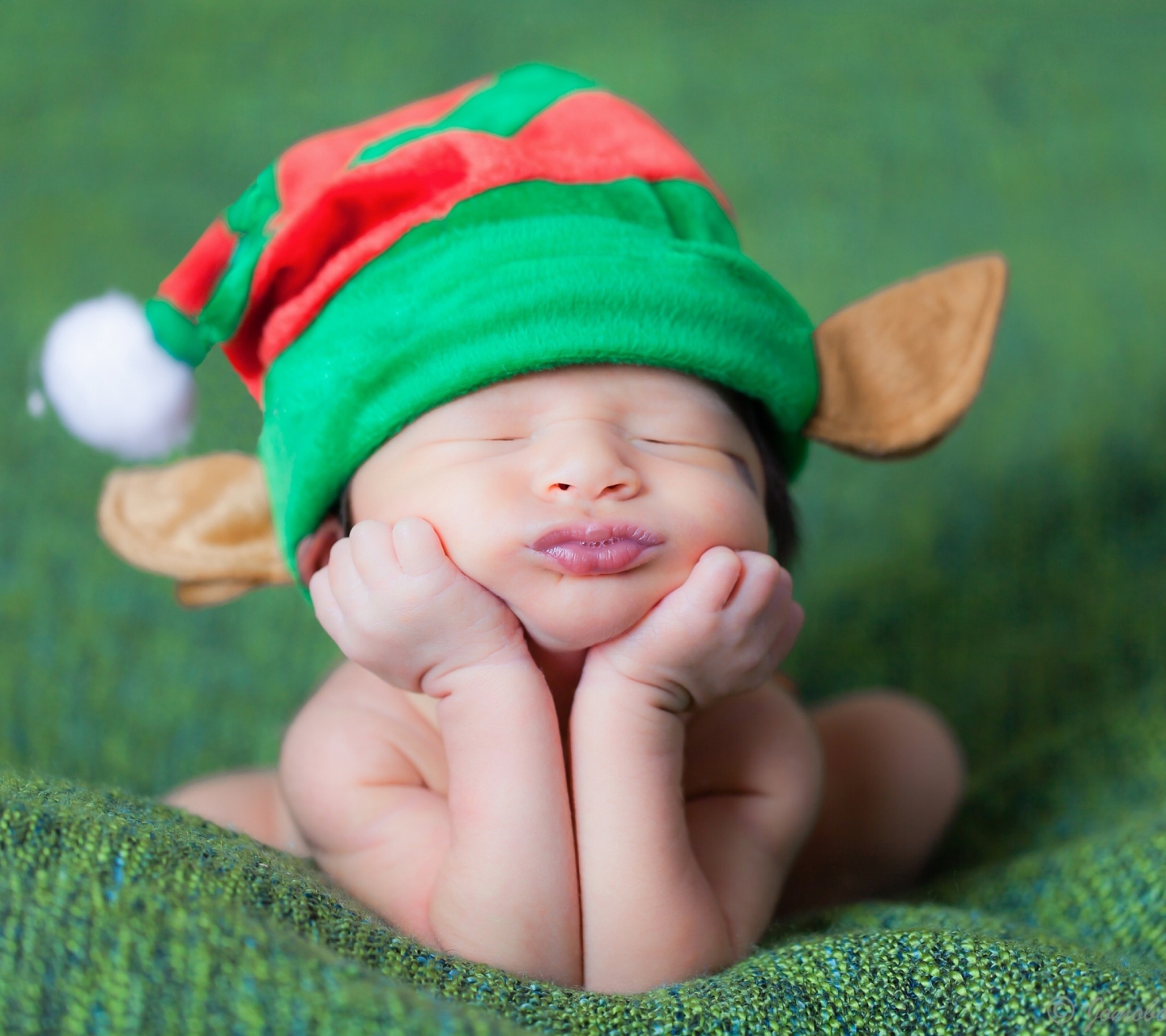 Sfondi Cute Baby Elf 1440x1280