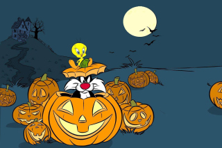 Looney Tunes Halloween Background for Android, iPhone and iPad