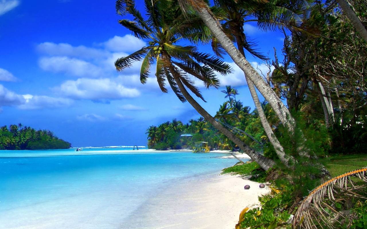 Screenshot №1 pro téma Beach on Cayman Islands 1280x800