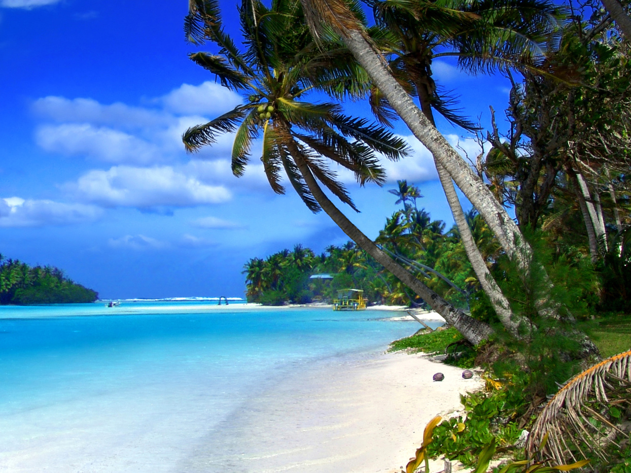 Fondo de pantalla Beach on Cayman Islands 1280x960