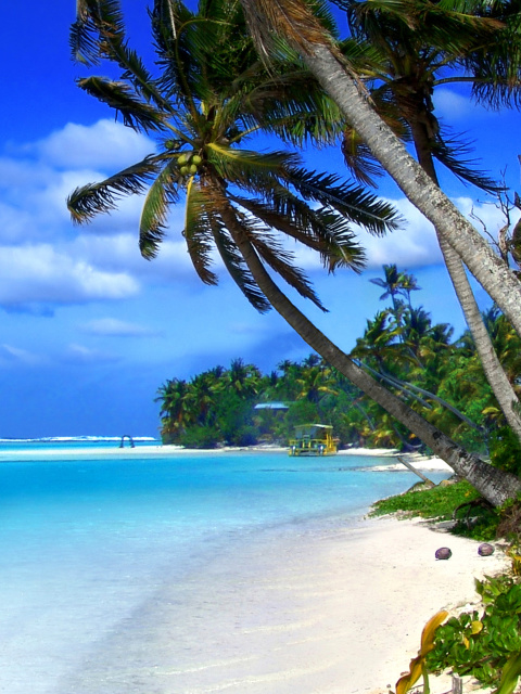 Beach on Cayman Islands screenshot #1 480x640