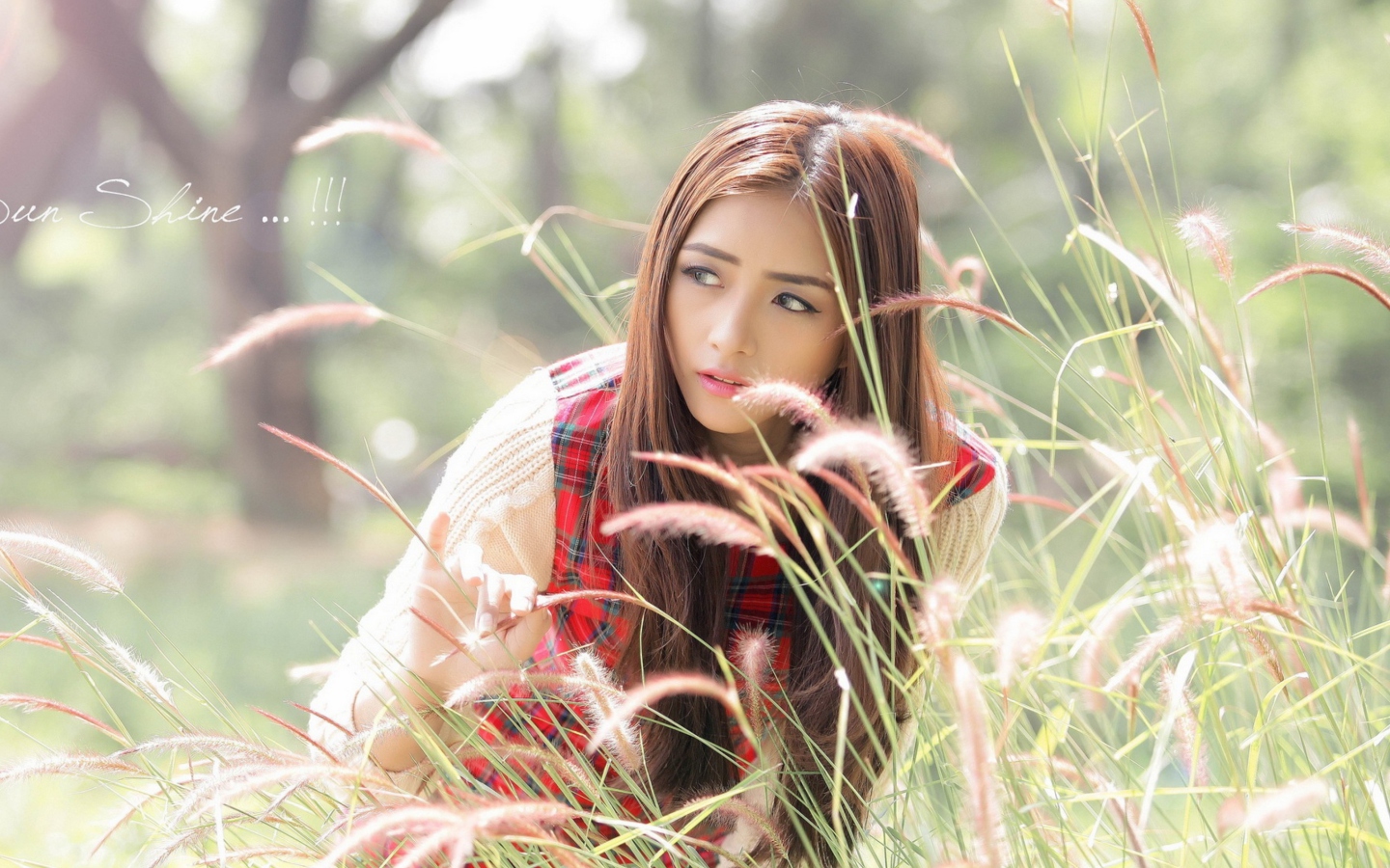 Обои Asian Girl In Field 1440x900