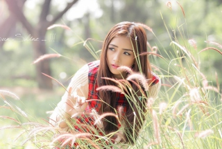 Asian Girl In Field - Obrázkek zdarma 