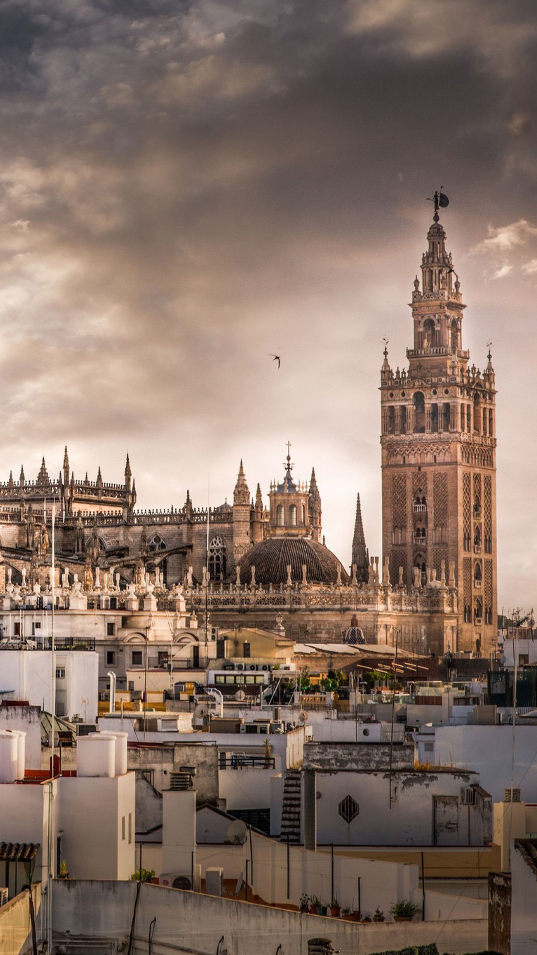 Fondo de pantalla Sevilla 1080x1920