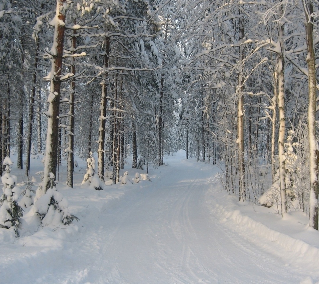 Screenshot №1 pro téma Winter snowy forest 1080x960