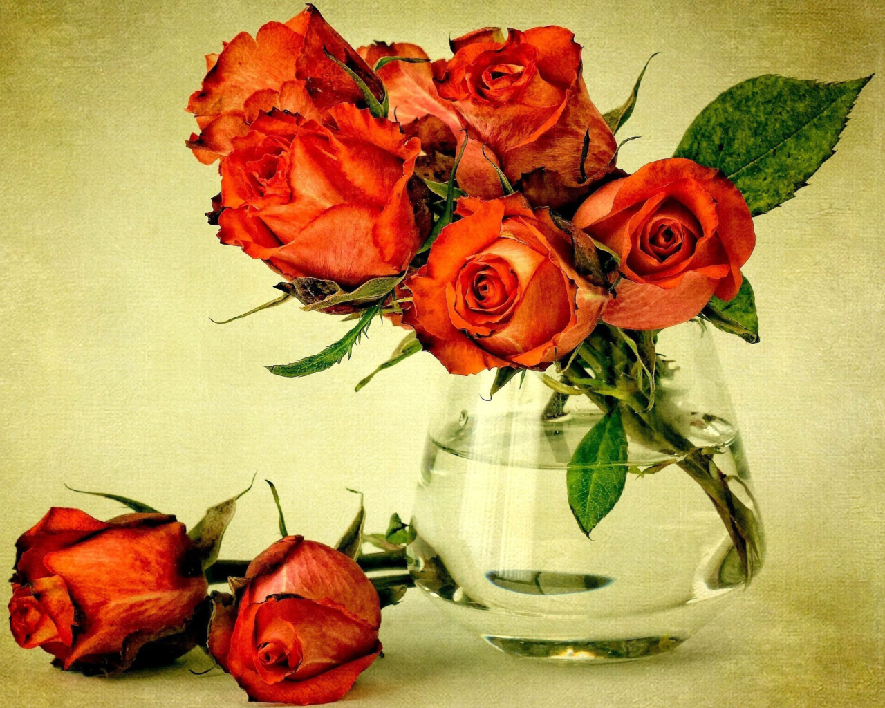 Fondo de pantalla Beautiful Roses 1280x1024