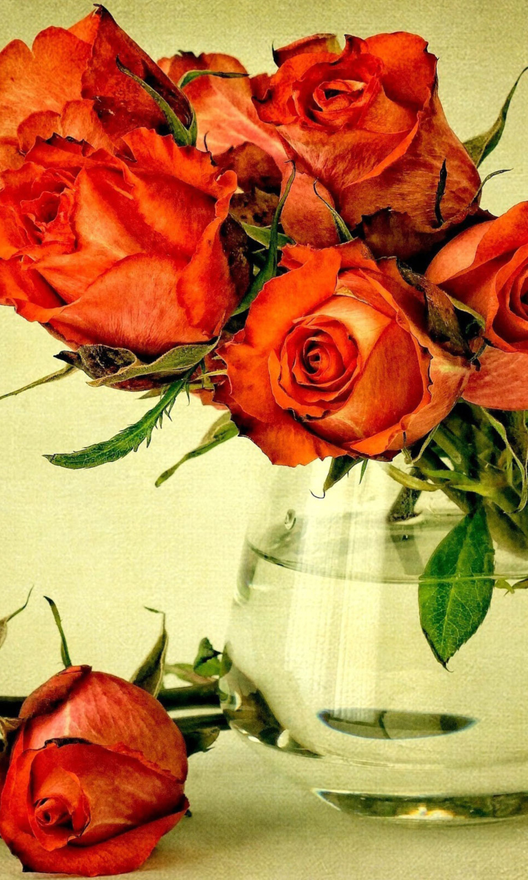 Screenshot №1 pro téma Beautiful Roses 768x1280