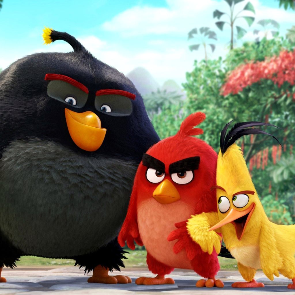 Обои The Angry Birds Comedy Movie 2016 1024x1024