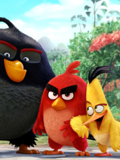 Das The Angry Birds Comedy Movie 2016 Wallpaper 240x320