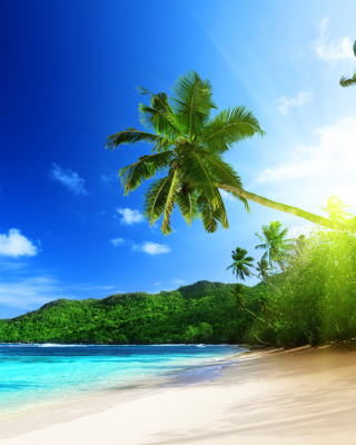 Best Seashore Place on Earth - Fondos de pantalla gratis para Huawei G7300
