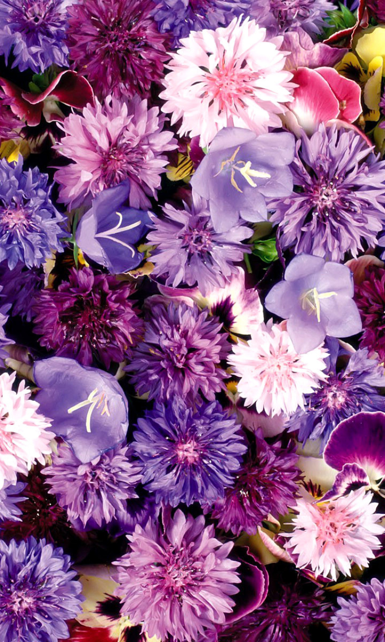 Flower carpet from cornflowers, bluebells, violets wallpaper 768x1280