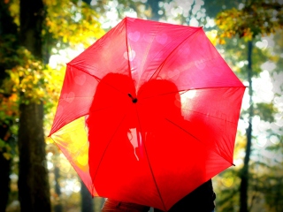 Das Couple Behind Red Umbrella Wallpaper 320x240