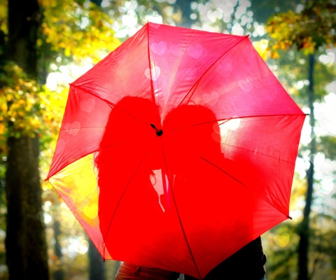 Couple Behind Red Umbrella screenshot #1 480x400