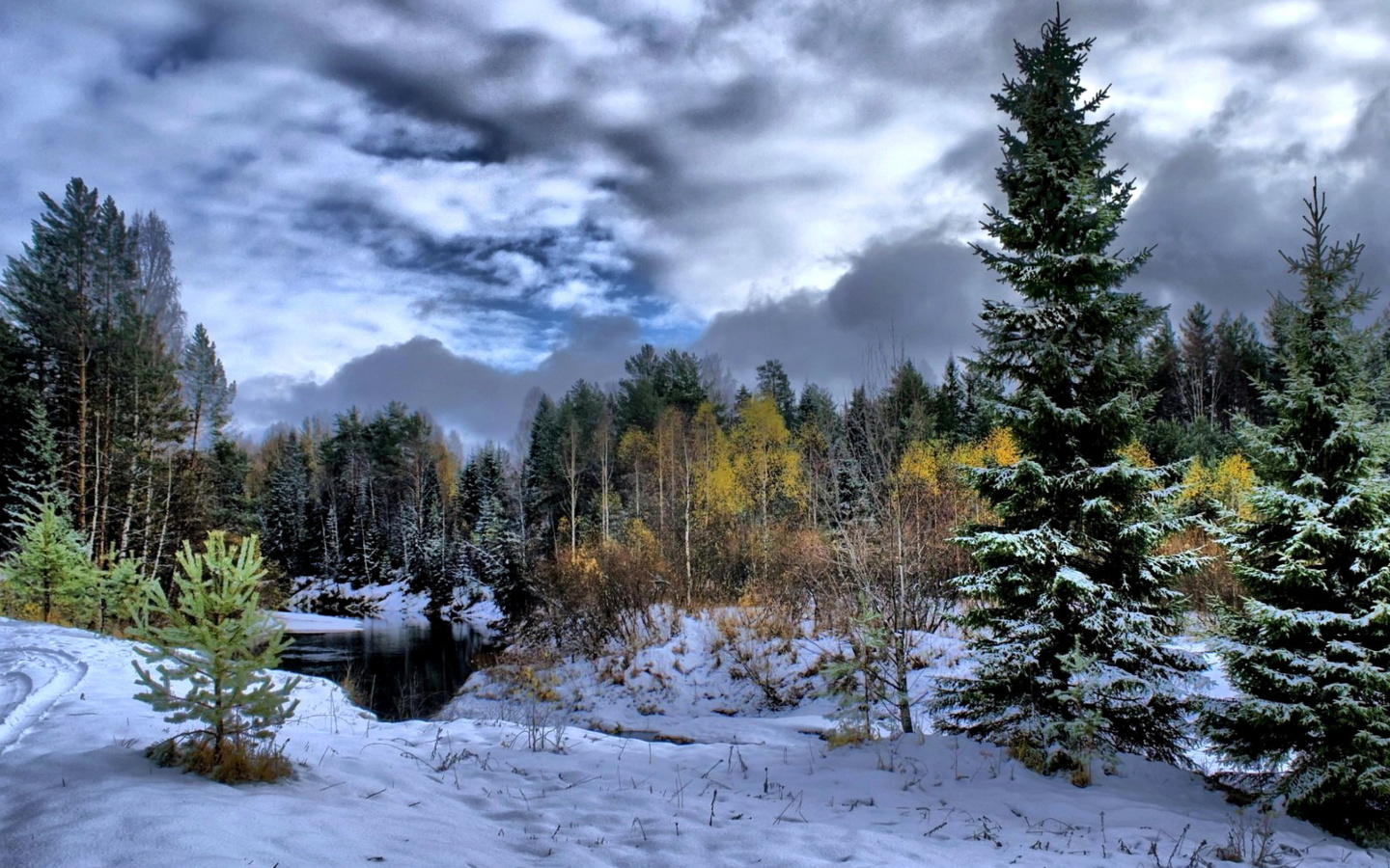 Screenshot №1 pro téma Winter in taiga forest 1440x900