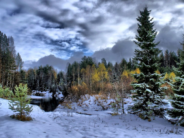 Fondo de pantalla Winter in taiga forest 640x480