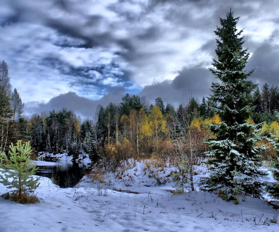 Winter in taiga forest wallpaper 960x800