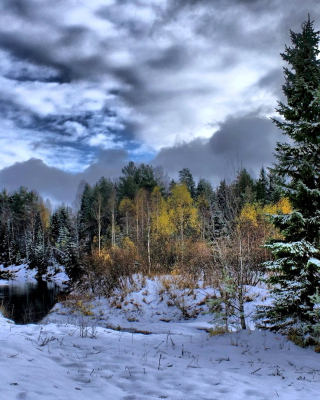 Winter in taiga forest - Obrázkek zdarma pro Nokia 5233