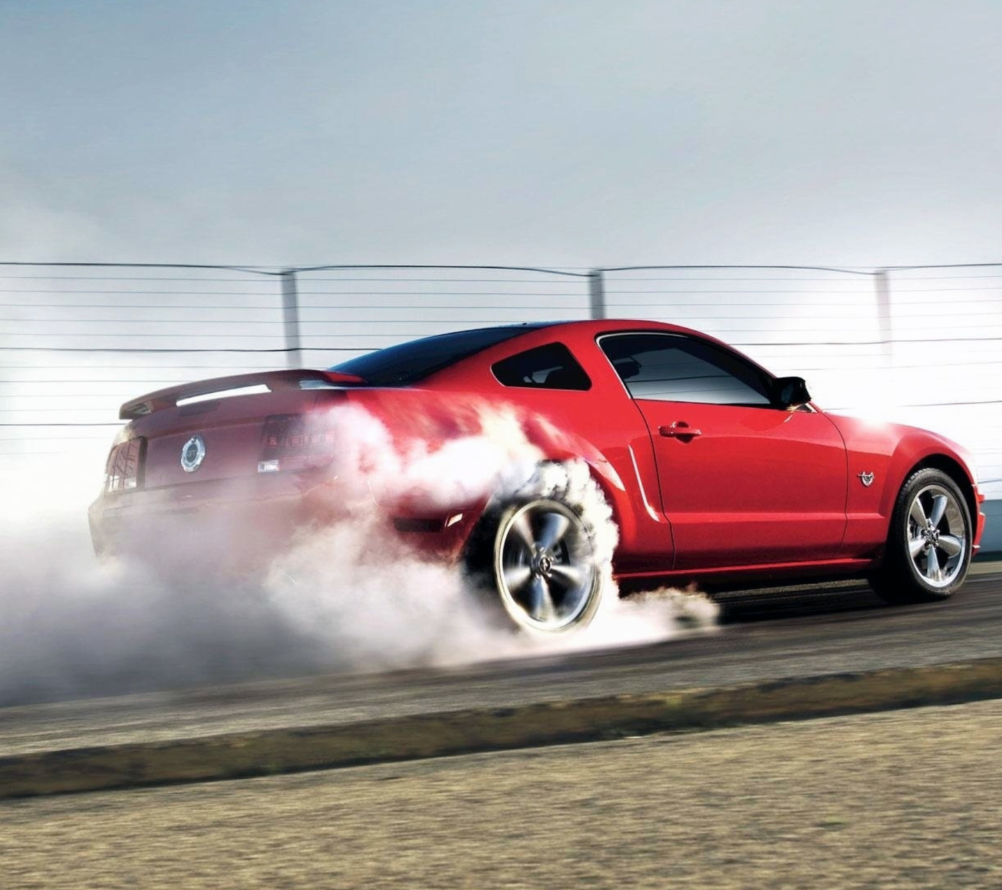 Ford Mustang wallpaper 1440x1280