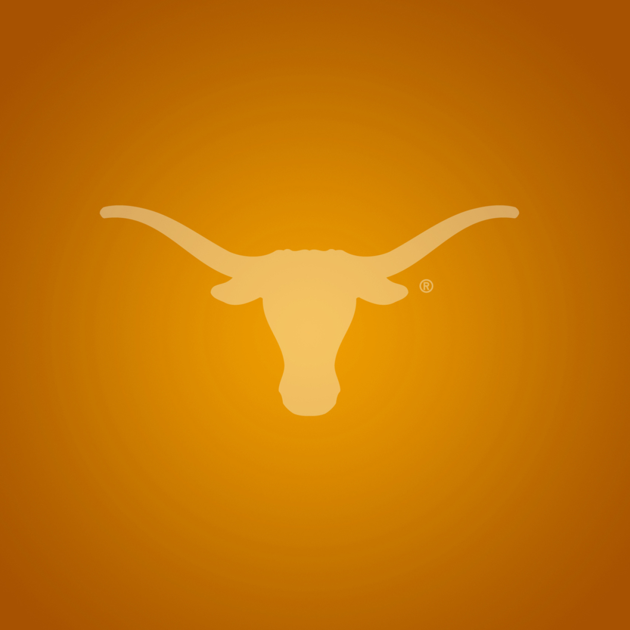 Texas Longhorns screenshot #1 2048x2048