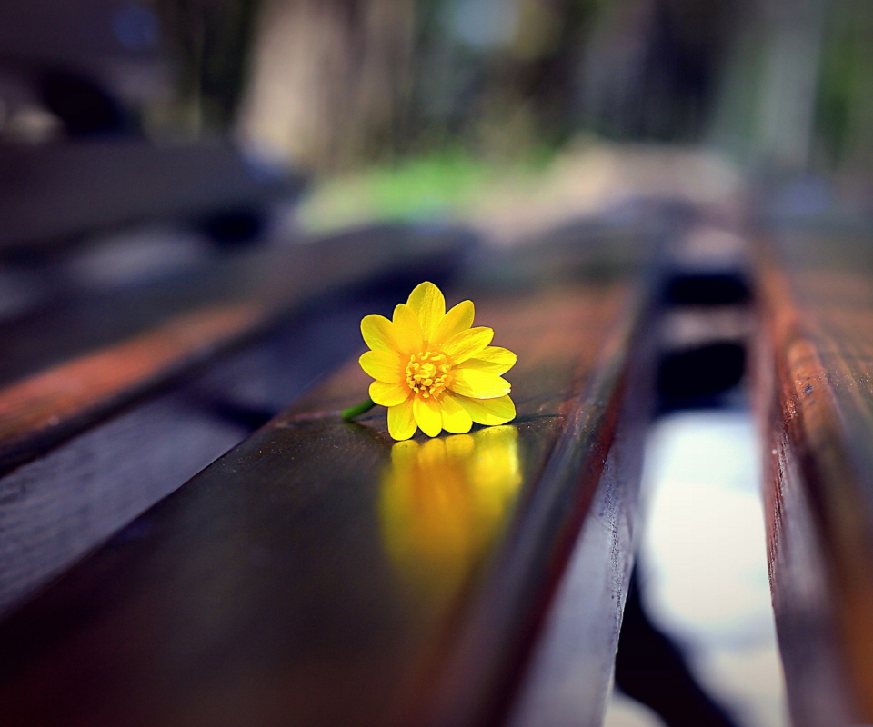Screenshot №1 pro téma Yellow Flower On Bench 960x800