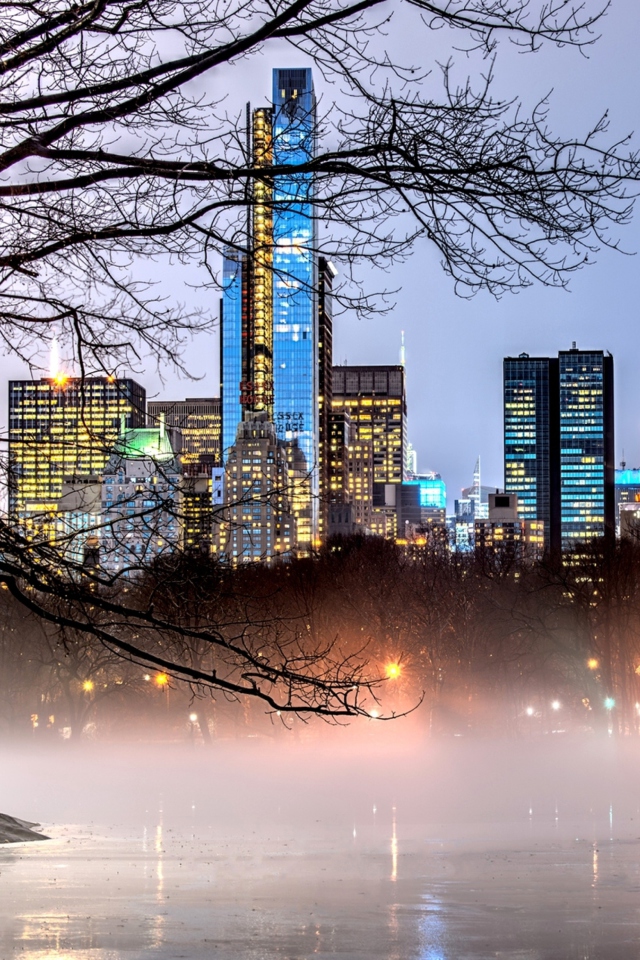 Fondo de pantalla Manhattan View From Central Park 640x960